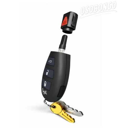Penjamin Car Key